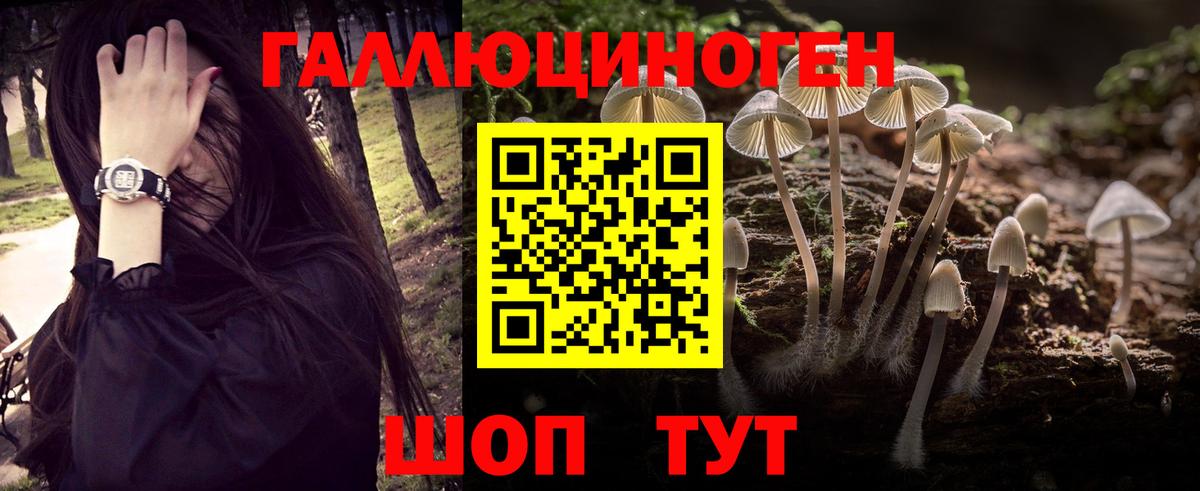Галлюциногенные грибы мицелий Калач-на-Дону